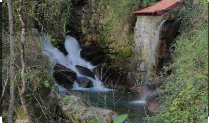 Quinta Dos Trilhos Vila Fafe Exterior foto